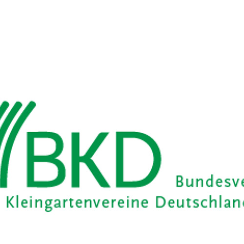 BKD informiert 09/2024