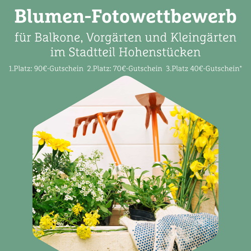 Blumen Fotowettbewerb